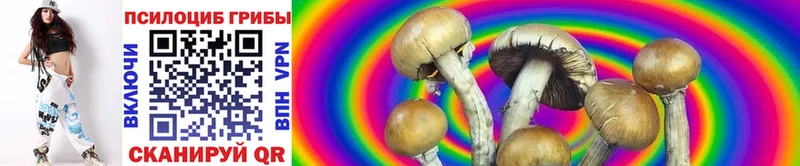 Галлюциногенные грибы мухоморы  Сосенский 