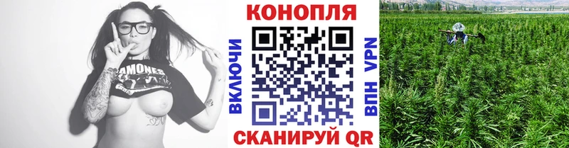 Бошки марихуана ГИДРОПОН  закладка  Сосенский 